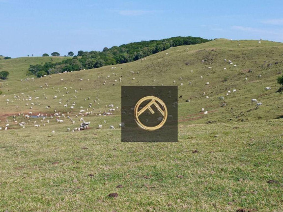 Imagem Fazenda à Venda, 2.928.200 m² em Guampará - Marquinho Imagem Fazenda à Venda, 2.928.200 m² em Guampará - Marquinho