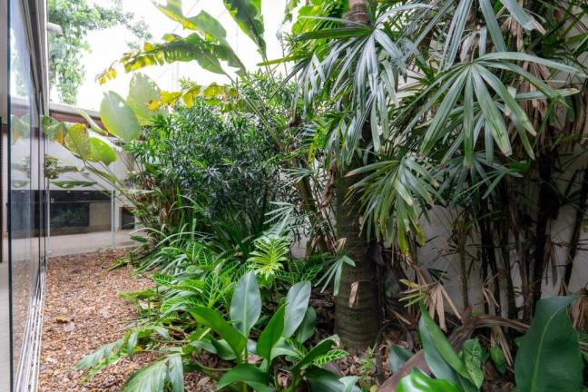 Imagem Casa de Condomínio com 5 Quartos à Venda, 424.220 m² em Jardim Petrópolis - São Paulo Imagem Casa de Condomínio com 5 Quartos à Venda, 424.220 m² em Jardim Petrópolis - São Paulo