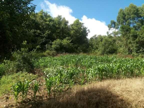 Imagem Terreno à Venda, 450 m² em Germânia - Nova Petrópolis Imagem Terreno à Venda, 450 m² em Germânia - Nova Petrópolis