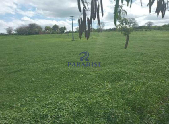 Imagem Fazenda à Venda, 2.350.000 m² em Zona Rural - Morro Do Chapéu Imagem Fazenda à Venda, 2.350.000 m² em Zona Rural - Morro Do Chapéu