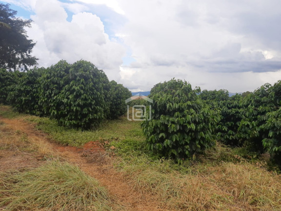 Imagem Imóvel à Venda, 30.000 m² em Conceição (rural) - Palmeiral Imagem Imóvel à Venda, 30.000 m² em Conceição (rural) - Palmeiral