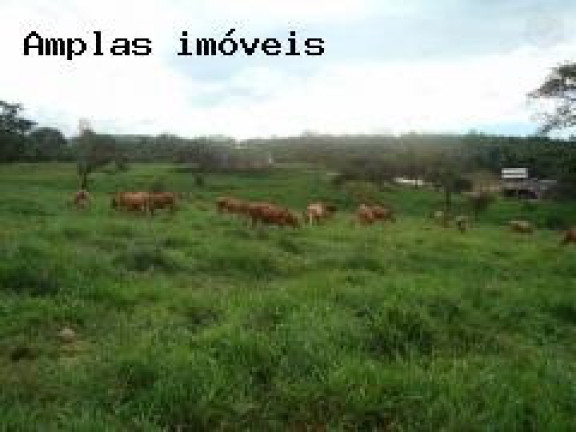 Imagem Fazenda à Venda,  em Queiroz - Mateus Leme