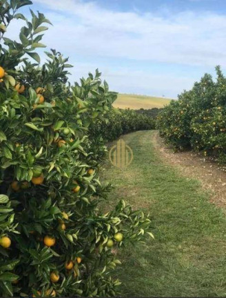 Fazenda à Venda, 7.986.000 m² em Centro - Botucatu