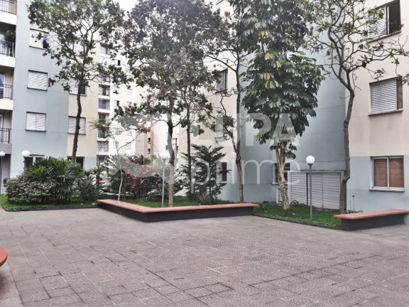 Imagem Apartamento com 3 Quartos à Venda, 61 m² em Vila Guilherme - São Paulo