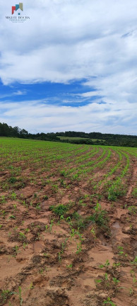 Imagem Imóvel com 1 Quarto à Venda, 1.815.000 m² em Da Bandeira (lavrinha) - São Miguel Arcanjo Imagem Imóvel com 1 Quarto à Venda, 1.815.000 m² em Da Bandeira (lavrinha) - São Miguel Arcanjo