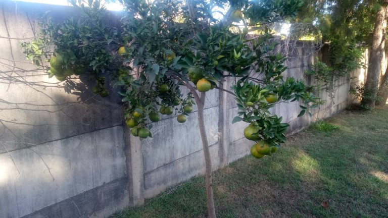 Imagem Fazenda à Venda,  em Helvetia Country - Indaiatuba