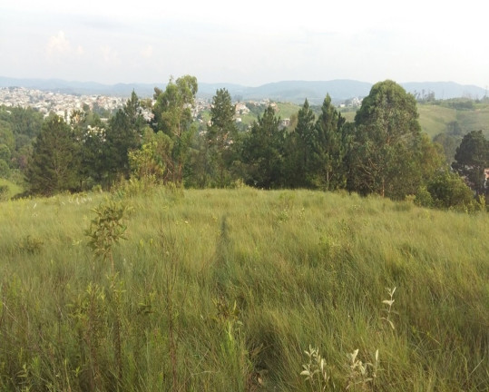 Imagem Terreno à Venda, 4.026 m² em Portal Das Alamedas - Franco Da Rocha Imagem Terreno à Venda, 4.026 m² em Portal Das Alamedas - Franco Da Rocha