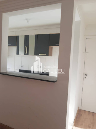 Imagem Apartamento com 3 Quartos à Venda, 66 m² em Jardim Nova Europa - Campinas Imagem Apartamento com 3 Quartos à Venda, 66 m² em Jardim Nova Europa - Campinas