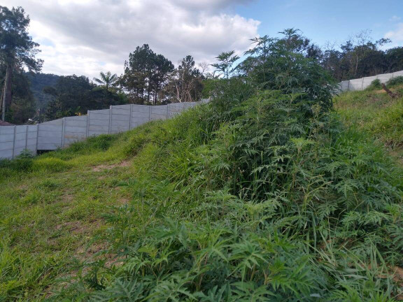 Imagem Terreno em Condomínio à Venda, 1 m² em Rio Acima - Mairiporã Imagem Terreno em Condomínio à Venda, 1 m² em Rio Acima - Mairiporã