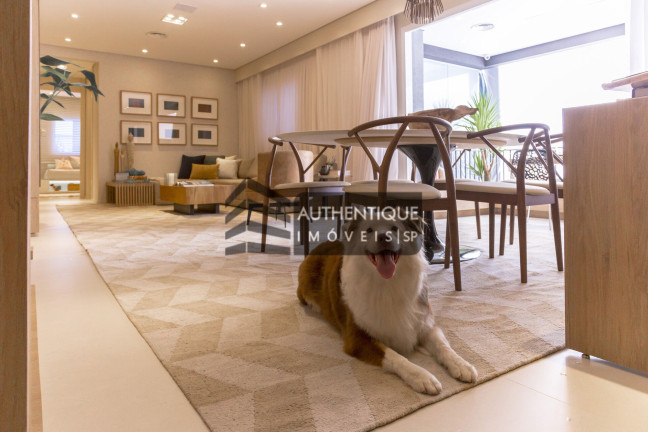 Imagem Apartamento com 3 Quartos à Venda, 90 m² em Morumbi - São Paulo Imagem Apartamento com 3 Quartos à Venda, 90 m² em Morumbi - São Paulo