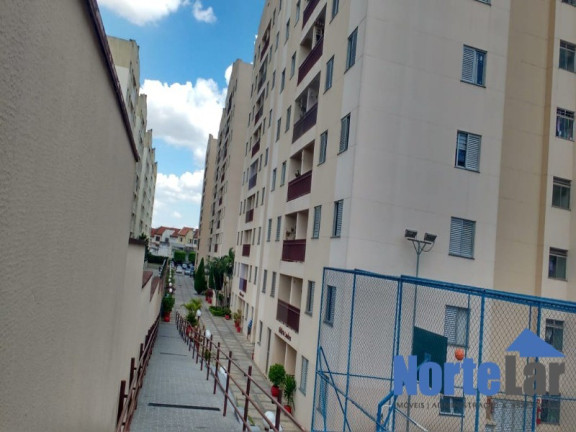 Imagem Apartamento com 2 Quartos à Venda, 55 m² em Vila Lageado - São Paulo