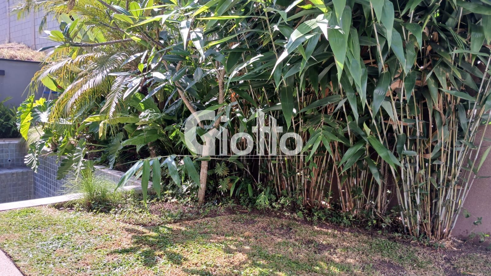 Imagem Casa de Condomínio à Venda, 220 m² em Cézar De Souza - Mogi Das Cruzes