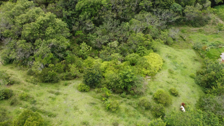 Imagem Terreno à Venda, 2.492 m² em Ambrósio - Ambrósio Imagem Terreno à Venda, 2.492 m² em Ambrósio - Ambrósio