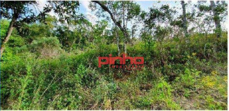 Imagem Terreno à Venda, 8 m² em Fundo Canoas - Rio Do Sul Imagem Terreno à Venda, 8 m² em Fundo Canoas - Rio Do Sul
