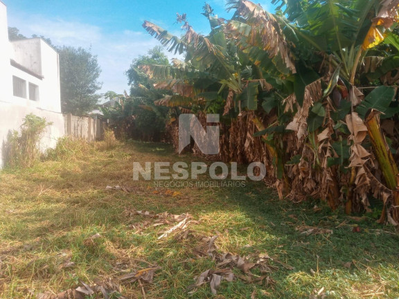 Imagem Terreno à Venda, em São Judas - Itajai Imagem Terreno à Venda, em São Judas - Itajai