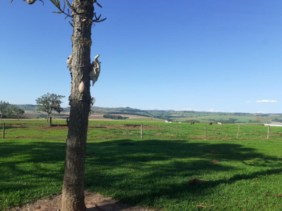 Imagem Fazenda à Venda, 174 m² em Rural - Itaporanga Imagem Fazenda à Venda, 174 m² em Rural - Itaporanga