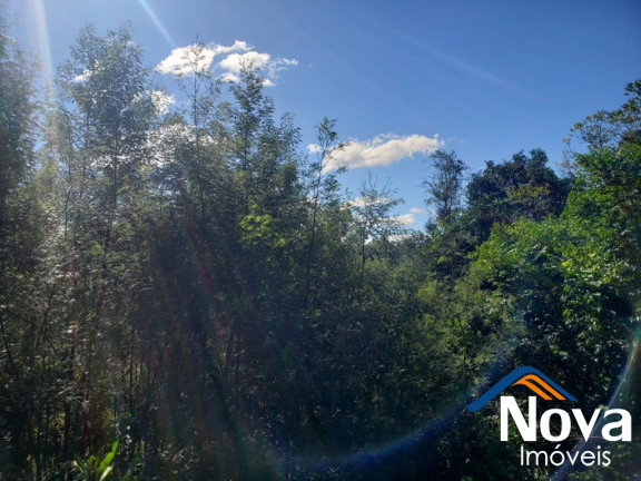 Imagem Imóvel à Venda, 405 m² em Bavária - Nova Petrópolis