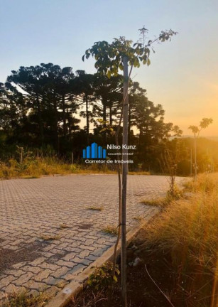 Imagem Terreno à Venda, 360 m² em Brazilia - Garibaldi Imagem Terreno à Venda, 360 m² em Brazilia - Garibaldi