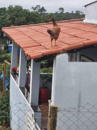 Imagem Chácara com 2 Quartos à Venda, 1.200 m² em Piraporão - Piedade