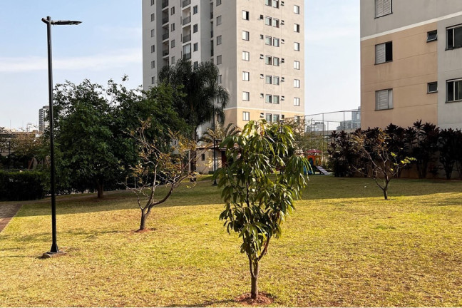 Imagem Apartamento com 2 Quartos à Venda, 48 m² em Lapa De Baixo - São Paulo Imagem Apartamento com 2 Quartos à Venda, 48 m² em Lapa De Baixo - São Paulo