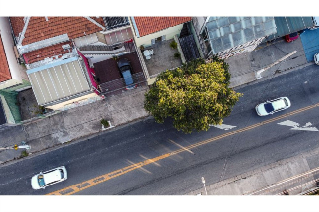 Imagem Casa com 3 Quartos à Venda,  em Vila Pompéia - São Paulo