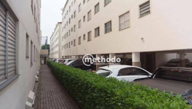Imagem Apartamento com 3 Quartos à Venda, 64 m² em São Bernardo - Campinas Imagem Apartamento com 3 Quartos à Venda, 64 m² em São Bernardo - Campinas