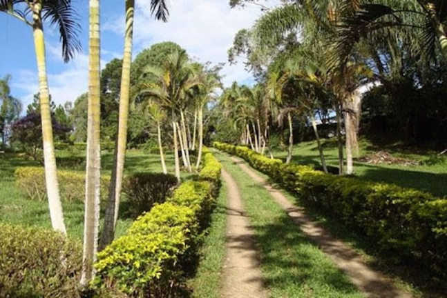 Imagem Chácara com 3 Quartos à Venda, 400 m² em Jardim Brogotá - Atibaia
