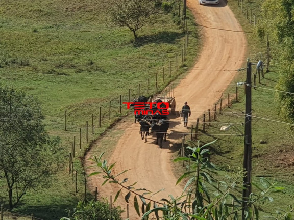 Imagem Imóvel à Venda, em Soledade De Minas - Soledade De Minas Imagem Imóvel à Venda, em Soledade De Minas - Soledade De Minas