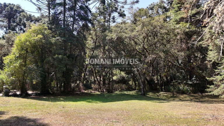 Imagem Terreno à Venda, 1.110 m² em Região De Capivari - Campos Do Jordão Imagem Terreno à Venda, 1.110 m² em Região De Capivari - Campos Do Jordão