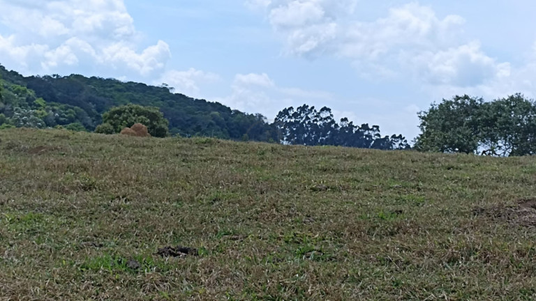 Imagem Chácara com 1 Quarto à Venda, 10 m² em Capim Da Angola - Paraibuna Imagem Chácara com 1 Quarto à Venda, 10 m² em Capim Da Angola - Paraibuna