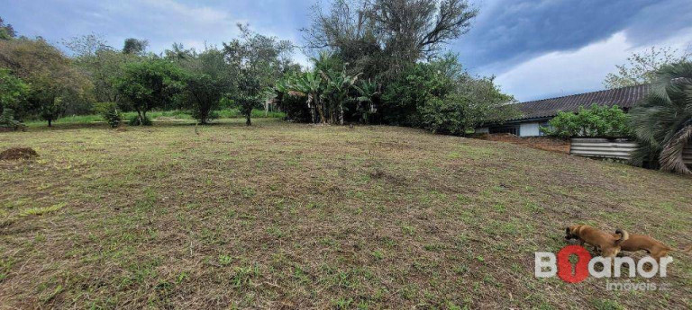 Imagem Terreno à Venda, 754 m² em Velha - Blumenau