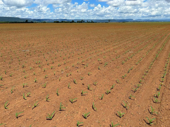 Imagem Fazenda à Venda, 9.700 m² em Rural - Pontes E Lacerda Imagem Fazenda à Venda, 9.700 m² em Rural - Pontes E Lacerda