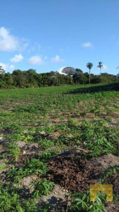 Imagem Chácara com 3 Quartos à Venda, 100 m² em Conde - Conde Imagem Chácara com 3 Quartos à Venda, 100 m² em Conde - Conde