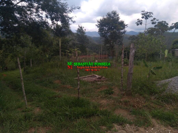 Imagem Chácara à Venda, 5.000 m² em Turvo - São José Dos Campos