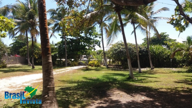 Terreno à Venda, 4.582 m² em Br367 - Santa Cruz Cabrália