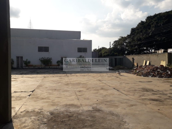 Imagem Imóvel para Alugar, 540 m² em Cidade Jardim - Campinas Imagem Imóvel para Alugar, 540 m² em Cidade Jardim - Campinas