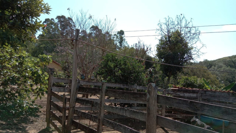 Imagem Imóvel com 3 Quartos à Venda, 100 m² em Coroado - Caldas