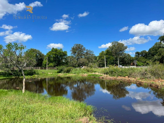 Imagem Chácara com 1 Quarto à Venda, 5.000 m² em Poço Fundo - Parobé
