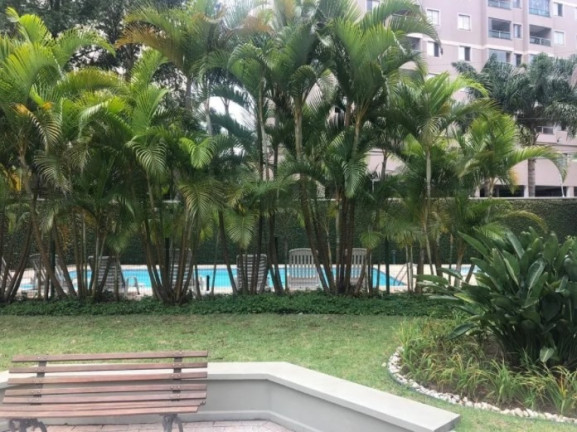 Imagem Imóvel com 3 Quartos à Venda, 82 m² em Paraíso Do Morumbi - São Paulo Imagem Imóvel com 3 Quartos à Venda, 82 m² em Paraíso Do Morumbi - São Paulo