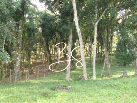 Imagem Terreno à Venda, 50.000 m² em Linha Bonita - Gramado Imagem Terreno à Venda, 50.000 m² em Linha Bonita - Gramado