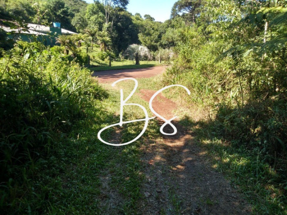 Imóvel à Venda, 48.000 m² em Serra Grande - Igrejinha