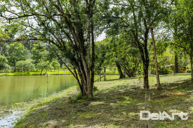 Imagem Casa com 3 Quartos à Venda, 365 m² em Passa Tres - Rio Negro Imagem Casa com 3 Quartos à Venda, 365 m² em Passa Tres - Rio Negro