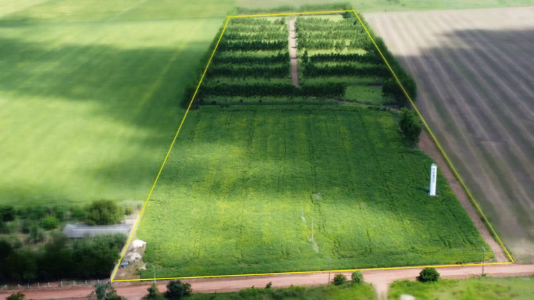 Fazenda à Venda, 72.000 m² em Condomínio Residencial Camping Club - Sinop