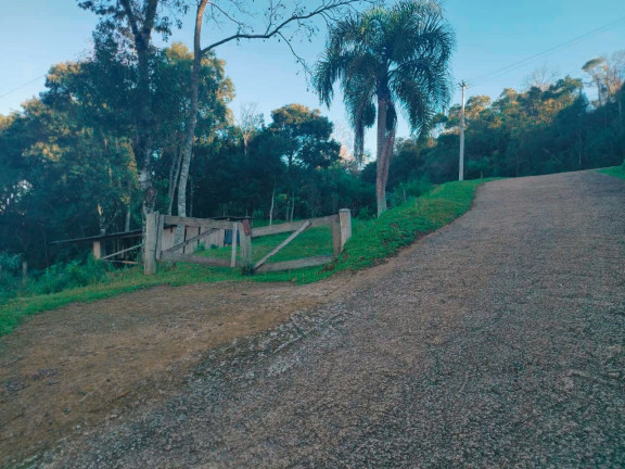 Imagem Terreno à Venda, 2.800 m² em Borghetto - Garibaldi Imagem Terreno à Venda, 2.800 m² em Borghetto - Garibaldi