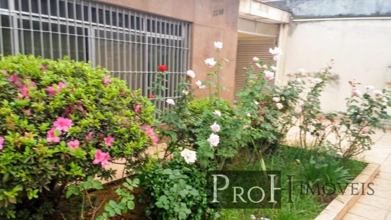 Imagem Sobrado com 2 Quartos à Venda, 140 m² em Osvaldo Cruz - São Caetano Do Sul Imagem Sobrado com 2 Quartos à Venda, 140 m² em Osvaldo Cruz - São Caetano Do Sul