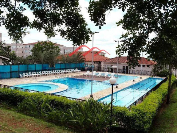 Imagem Apartamento com 2 Quartos à Venda, 50 m² em Jardim Santa Terezinha (nova Veneza) - Sumaré Imagem Apartamento com 2 Quartos à Venda, 50 m² em Jardim Santa Terezinha (nova Veneza) - Sumaré