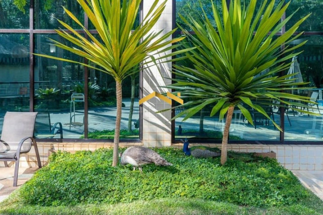 Imagem Apartamento com 4 Quartos à Venda, 305 m² em Panamby - São Paulo Imagem Apartamento com 4 Quartos à Venda, 305 m² em Panamby - São Paulo