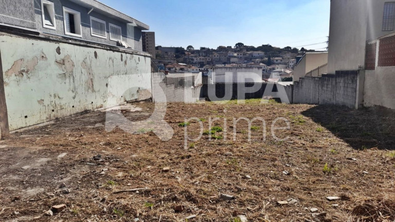 Imagem Terreno para Alugar, 480 m² em Vila Guilherme - São Paulo Imagem Terreno para Alugar, 480 m² em Vila Guilherme - São Paulo