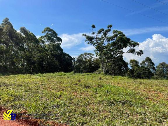 Imagem Chácara à Venda, 41 m² em Pitangueiras - Pedra Bela