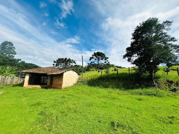 Imagem Fazenda à Venda, 30.000 m² em Centro - Joanópolis Imagem Fazenda à Venda, 30.000 m² em Centro - Joanópolis